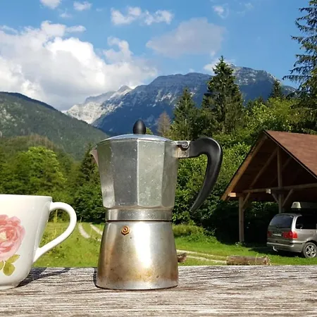 Bovec At Three Samoyeds Holiday home