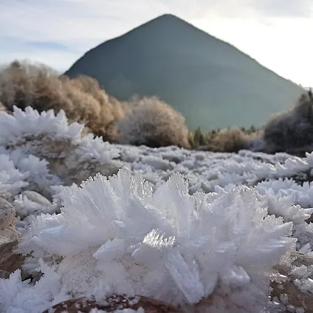 Bovec At Three Samoyeds