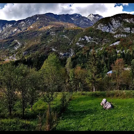 Bovec At Three Samoyeds Holiday home