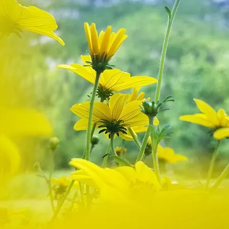 Feriehus Bovec At Three Samoyeds Soča