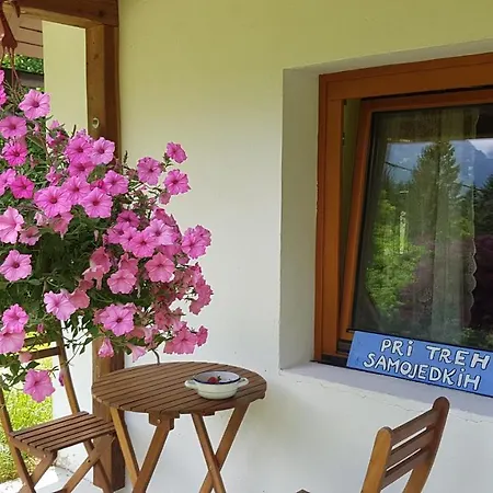 Bovec At Three Samoyeds Holiday home *