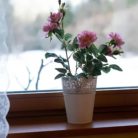 Feriehus Bovec At Three Samoyeds Soča