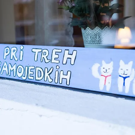 Bovec At Three Samoyeds Soca