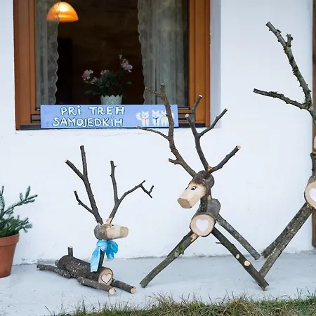 Bovec At Three Samoyeds
