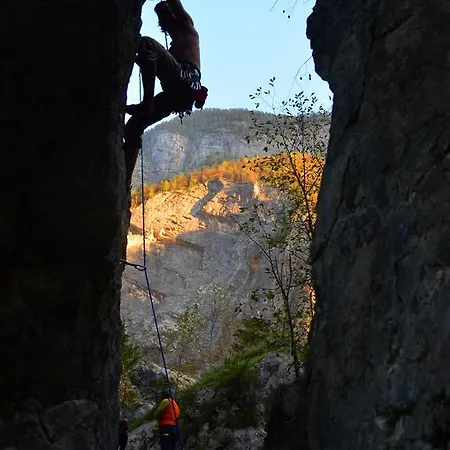 Bovec At Three Samoyeds
