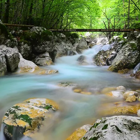 Holiday home Bovec At Three Samoyeds