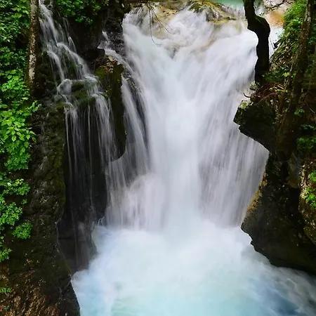Holiday home Bovec At Three Samoyeds Soca