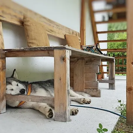Počitniška hiša Bovec At Three Samoyeds