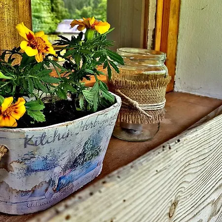 Bovec At Three Samoyeds Holiday home Soca