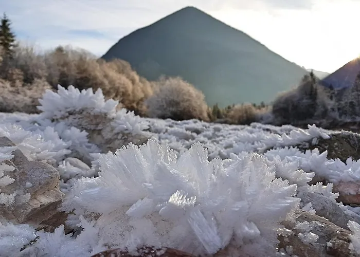 Bovec At Three Samoyeds