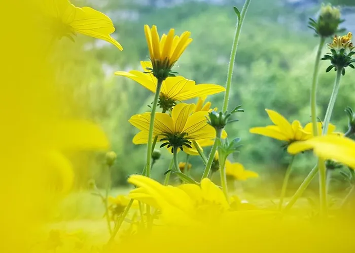 Hébergement de vacances Bovec At Three Samoyeds Soča