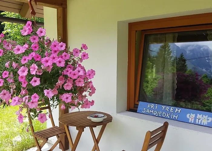 Bovec At Three Samoyeds Casa vacanze *