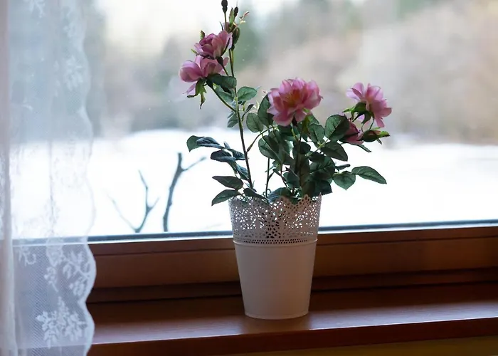 Hébergement de vacances Bovec At Three Samoyeds Soča