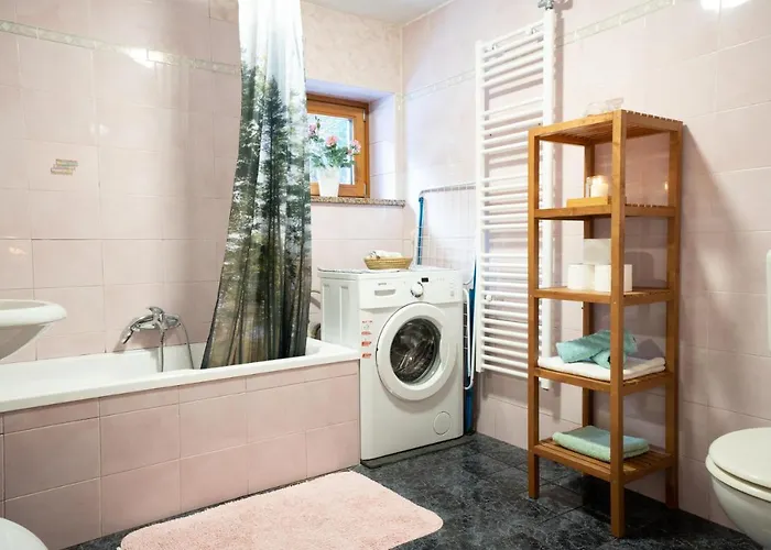 Bovec At Three Samoyeds