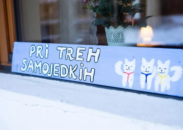 Bovec At Three Samoyeds Soča