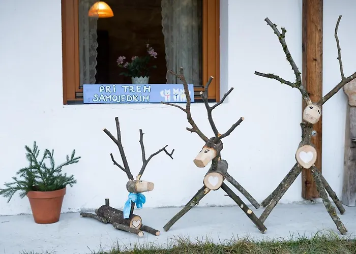 Bovec At Three Samoyeds