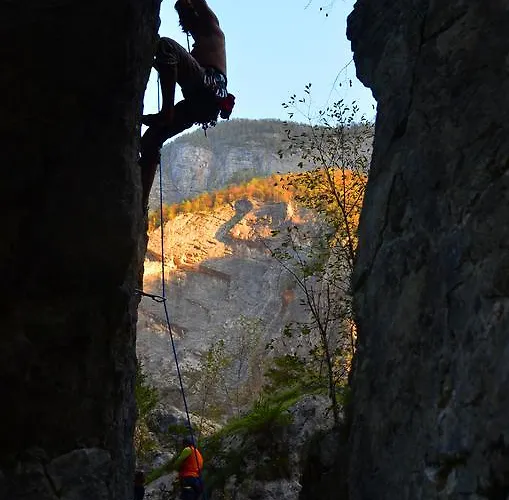 Bovec At Three Samoyeds