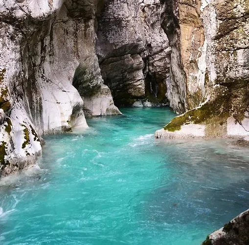 Hébergement de vacances Bovec At Three Samoyeds Soča