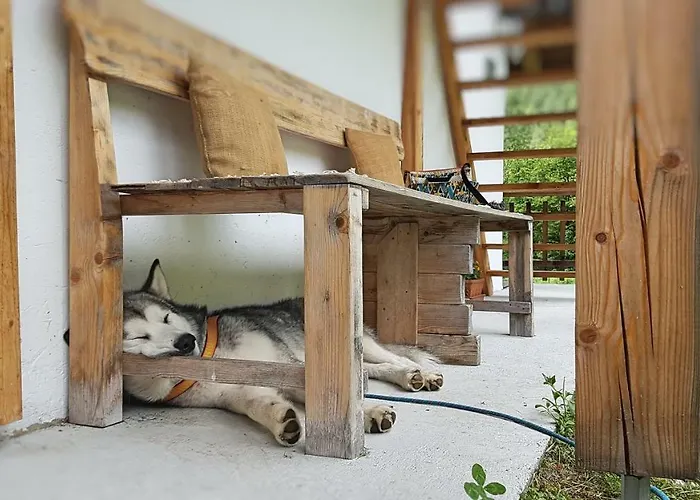 Casa vacanze Bovec At Three Samoyeds