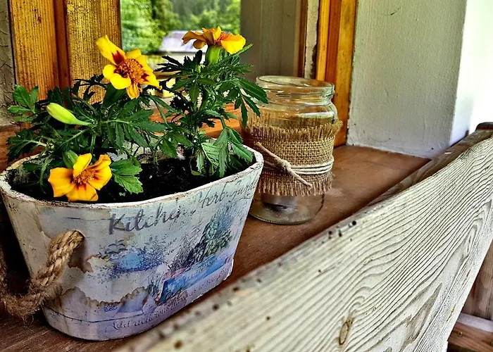 Bovec At Three Samoyeds Hébergement de vacances Soča